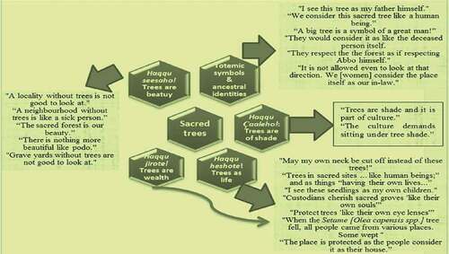 Figure 6. Local models for bio-cultural interface of native trees and culture; Source: Own data).