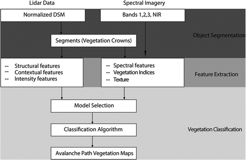 Figure 2. General workflow of classification procedure from data processing to final vegetation classification.