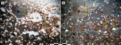 Fig. 4: Photomicrographs of the Beth-Shemesh tablet; a) in PPL; b) XPL; Cac = calcrete; Qz = quartz; Hb = hornblende (scale bar length: 1 mm)