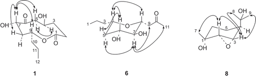 Figure 2. Selected NOE correlations for compounds 1, 6 and 8 (H↔H).