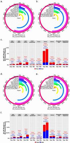 Figure 7. Distribution of ART associated differentially methylated regions (DMRs) across various genomic contents. (a-c) Muscle ES_ART vs. ES_Control DMRs. (d-f) Muscle ES_RF vs. ES_Control DMRs. (a-b and d-e) Each figure shows the total number of DMRs in the comparison and the number and percent of the hypermethylated (hyper; a and d) and hypomethylated (hypo; b and e) DMRs over each genomic context. In addition, the figures include the number and percent of DMRs that overlap with two previous studies (Li [Citation25] and Chen [Citation19]) for comparison purposes. (c and f) Percent of the genomic context that overlaps with DMRs. Obs = observed frequencies. Exp = expected frequencies (mean ± standard deviation; obtained from randomly shuffling DMRs across genome 10,000 times). The p values were calculated as p = n(|Exp – mean(Exp)| ≥ |Obs – mean(Exp)|)/10,000.