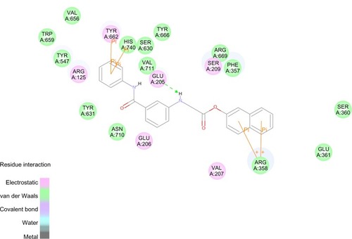 Figure 4 Structure of compound 2 docked inside the active site of the dipeptidyl peptidase-IV enzyme.