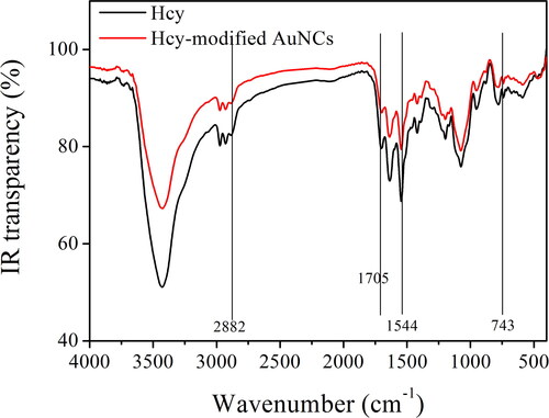 Figure 4. IR spectra of Hcy and the as-synthesized AuNCs sample (5 W/2 min).