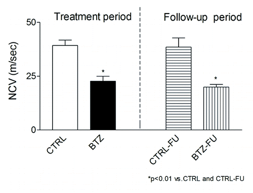 Figure 2. Neurophysiological studies. BTZ-induced decrease of the NCV was observed after 8 wk of chronic administration as well as at the end of the 4-wk follow up period (P < 0.01 vs. CTRL and CTRL-FU) (mean ± SEM).