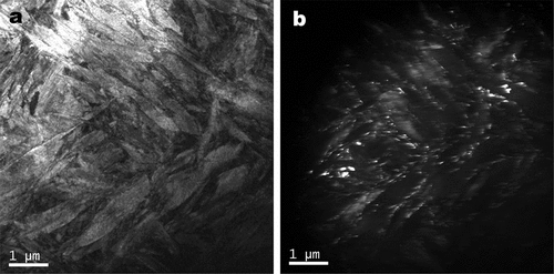 Figure 23. Bright field images (left) and corresponding dark field images (right) of medium-carbon silicon-containing steels quenched at 150°C for 20 s and partitioned for 30 s at 200°C. Dark field images were taken using 220 austenite reflection (adapted from reference [Citation45]).