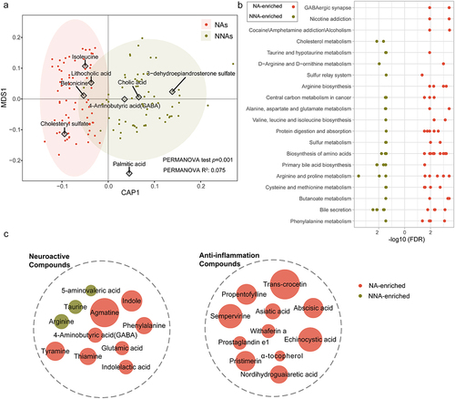 Figure 1. Distinct fecal metabolites associated with nonagenarians.