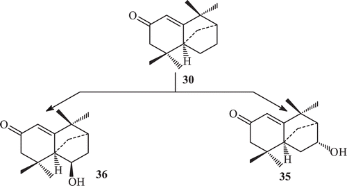 Scheme 10.  Metabolism of compound 30 by Fusarium lini.
