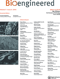 Cover image for Bioengineered, Volume 7, Issue 3, 2016