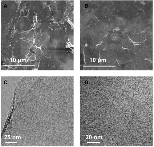 Figure 3 SEM images of the GO (A) and CDs/GO nanocomposites (B); TEM images of the GO (C) and CDs/GO nanocomposites (D).