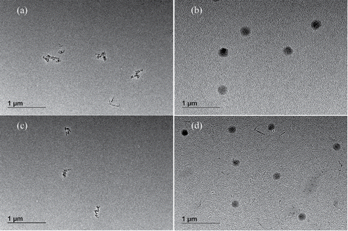 Figure 2. (a) TEM image of ∼200 nm soot particle; (b) ∼200 nm lamp wick smoke; (c) ∼154 nm soot; (d) ∼150 nm lamp wick smoke.