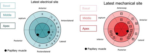 Figure 2. Comparison of sites of LEA (A) and LMA (B). The circled numbers refer to the patient numbers. Reproduced with permission from Wiley.