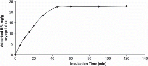 Figure 2. The time dependence of the adsorption values of BR on PHEMATrp cryogel disc. BR concentration: 1.0 mg/mL; mdry: 0.034 g; V:10 mL; T: 25°C; t: 2 h.