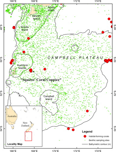 Figure 8 Map of Campbell Plateau showing where habitat-forming corals (Goniocorella dumosa, Solenosmilia variablis, Madrepora oculata, Enallopsammia rostrata; see Tracey et al. Citation2011 for detail) have been recorded (red circles) and benthic sample stations (green dots) where no such corals were found (using sampling gear such as rock dredges, Agassiz trawls, and fish trawls that have successfully recovered corals on the plateau and elsewhere in the New Zealand region). Bathymetric contours are every 250 m. The map projection is WGS84/Mercator 41 (EPSG: 3994).