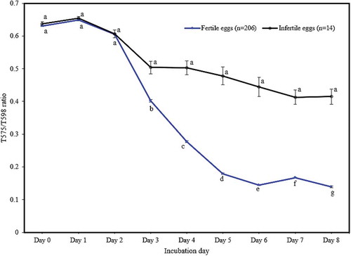 Figure 5. The change in the T575/T598 ratio during early incubation (points represent means, error bars represent standard error of means). Significantly different means within each group are indicated with a different letter (p < 0.01).