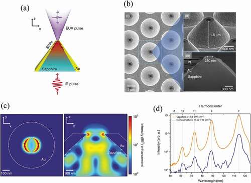 Figure 11. Plasmonic-assisted HHG [Citation96] (a) Scheme of SPP-assisted HHG with a funnel-waveguide nanostructure. (b) The fabricated funnel-waveguide nanostructures. (c) Calculated intensity enhancement for the xy-plane on the sapphire tip (left) and cross section of the xz-plane (right). (d) HHG from the nanostructure sample and a bare sapphire driven by a laser intensity of 0.42 and 1.58 TW/cm2, respectively