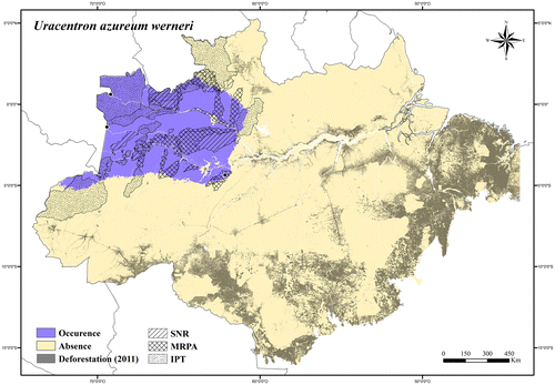 Figure 128. Occurrence area and records of Uracentron azureum werneri in the Brazilian Amazonia, showing the overlap with protected and deforested areas.