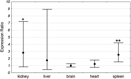 Figure 3. Pir expression ratio in each organ of Sod1−/− male mice relative to wild-type males. Dots represent the mean expression ratios (fold changes) over the Sod1+/+ and error bars represent the standard errors. Asterisks denote the statistical significance of difference between Sod1−/− and Sod1+/+ (pair-wise fixed reallocation randomization test; **P < 0.01, *P < 0.05). n = 8 animals with each genotype.