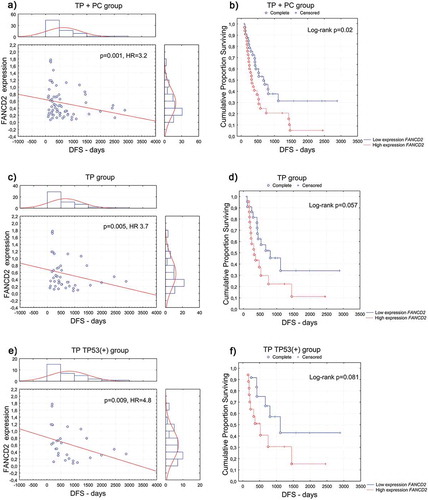 Figure 1. Disease-free survival (DFS) according to the FANCD2 gene expression at the mRNA level in the (a, b) combined TP- and PC-treated groups of patients; (c, d) TP-treated group of patients (e, f) group of TP-treated patients with TP53-positive carcinomas; (a, c, e) univariate analysis of a continuous variable; (b, d, f) analysis of Kaplan–Meier curves, cut-off point at the median value of 0.4.