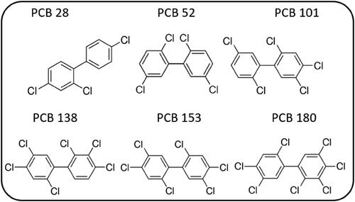 Figure 7. Scheme of molecular structures of PCBs mixtures with different degrees of chlorination.