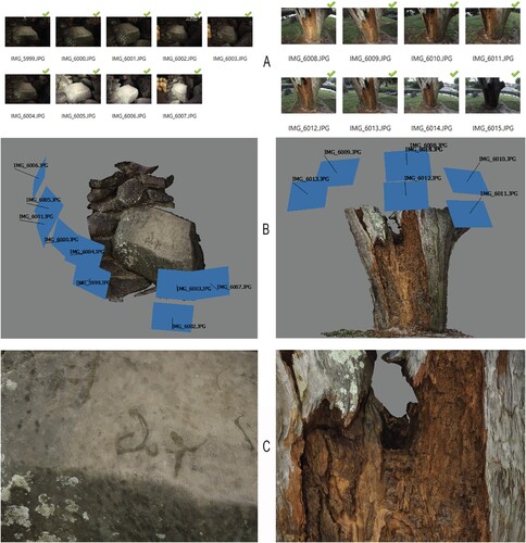 Figure 6. Chiaroscuro trial at Macintosh Park of a rock (left) and tree (right) showing A) images captured, B) camera positions and textured model, and C) close-up of model for detail.
