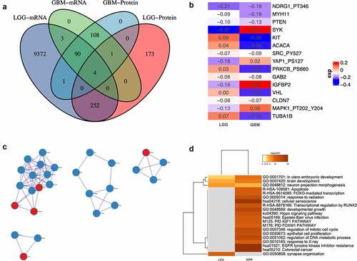 Figure 2. Differential analyses between patients with altered and unaltered circadian rhythm pathway as well as LGG and GBM patients. (a). Venn plot of differential-expressed genes between patients with altered and unaltered circadian rhythm pathway. (b). Differential- expressed genes between LGG and GBM patients identified using robust rank aggregation (RRA) with integrative evaluation of mRNA and protein expression; (c). Protein-protein interactions between DEGs in LGG and GBM patients; (d). Gene oncology enrichments between LGG and GBM patients