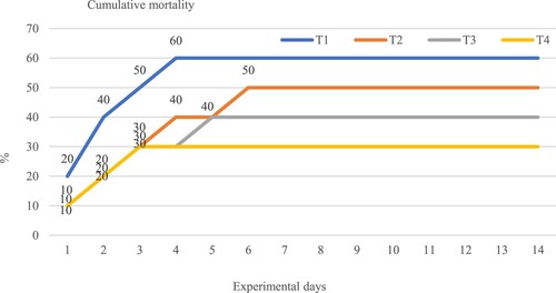 Figure 5. Cumulative mortality (%) of hybrid catfish, Clarias macrocephalus × C. gariepinus, fed with the four different concentrations of Andrographis paniculata extract against Aeromonas hydrophila for 14 days. T1 (0.00 g /kg), T2 (0.2 g/ kg), T3 (0.4 g/ kg) and T4 (0.6 g /kg).