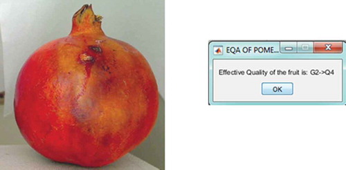 Figure 5. Random sample fruit for testing and its result.