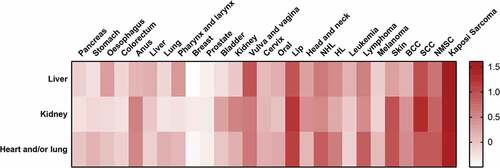 Figure 2. Heat map of the comparation of common cancer risks. Each SIR value was treated as follows: (1) all-cancer risk of solid organ transplantation was taken as reference (ref = 1); (2) natural logarithm was taken