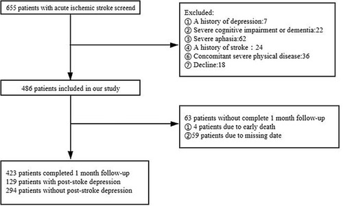 Figure 1 The process of screening patients in our study.