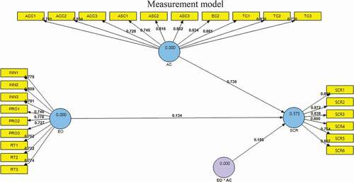 Figure 2. Measurement model