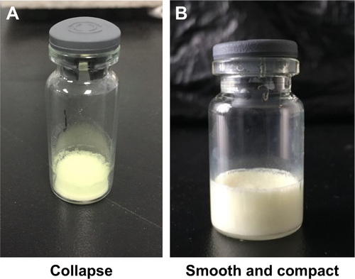 Figure S1 The collapsed (A) and smooth and compact (B) appearances of freeze-dried products containing different cryoprotectants.