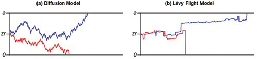 Figure 1. Sample paths for the diffusion model and the Lévy flight model.