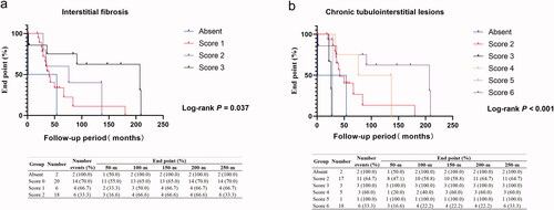 Figure 3. Kaplan–Meier analysis of different pathological features in dialysis group. (a) Kaplan–Meier analysis of discontinuing dialysis between the absent, score 1, score 2, and score 3 of interstitial fibrosis. (b) Kaplan–Meier analysis of discontinuing dialysis between the absent, score 2, score 3, score 4, score 5, and score 6 of chronic tubulointerstitial lesions.