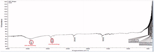 Figure 1. FTIR spectrum of oven-treated MWCNTs (at 250 °C for 30 min).