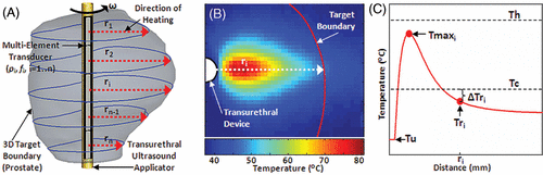 Figure 4. Typical temperature profile along the direction of heating of an ultrasound transducer element. The target radius (ri) sampled from the 3-D target boundary is used to determine the corresponding element's ultrasound frequency (fi). The difference (ΔTri) between the critical temperature (Tc) and the target radius temperature (Tri) is used to control the element's power (pi) and the applicator rate of rotation (ω). The maximum temperature (Tmaxi) was monitored to ensure that it did not exceed an upper limit (Th) thereby avoiding undesirable effects such as boiling or tissue carbonization.