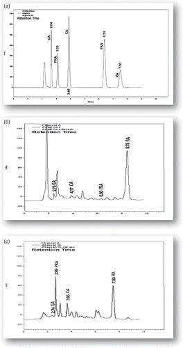 Figure 2 HPLC profiles of (a) phenolic acids standards, (b) methanol extract of R. officinalis, and (c) aqueous extract of O. dictamnus. Peak assignment: GA: gallic acid; PRA: protocatechuic acid; CA: caffeic acid; FRA: ferulic acid; and RA: rosmarinic acid.
