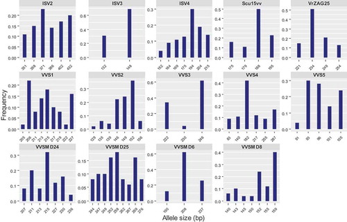 Figure 3. Distribution of allele frequencies for the loci of fourteen microsatellite markers studied to characterize 25 grapevine accessions. In each graph, horizontal axis represents the allele size (bp) for each microsatellite marker and vertical axis represents the observed allele frequency