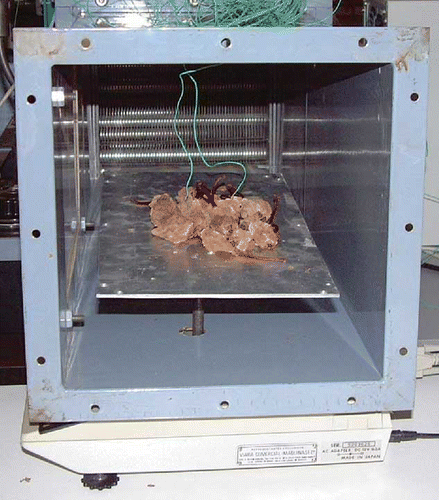 FIGURE 4 UC drying tunnel. (Figure is provided in color online.)