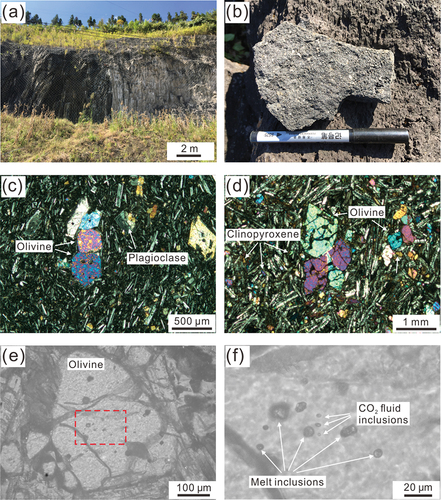 Figure 2. Photomicrographs of minerals and inclusions in the Tengchong volcanic rocks. (a) Columnar jointed basalt in Wuhe County. (b) Basalt with a vesicular structure. (c-d) Olivine, plagioclase and clinopyroxene phenocrysts in magmatic rocks. (e) Inclusions in an olivine phenocryst. (f) Magnified images outlined by the red rectangle in (e), showing fluid and melt inclusions in the olivine phenocryst.