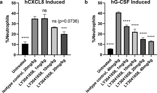 Figure 9. In vivo neutralizing activity of LY3041658. LY3041658 dose dependently reduced neutrophilia in mice induced by either hCXCL8 (a) or hG-CSF (b). The %neutrophils in blood was measured by flow cytometry as CD11b+/Ly6G+ cells normalized to total number of cells analyzed. Bars represent the mean ± SEM for n = 6 animals. Statistical analysis was done with GraphPad Prism 8 using one-way ANOVA with multiple comparisons to the isotype control (Dunnett’s test). Significant differences relative to isotype control are displayed: *** = 0.0001 ≤ p < .001, **** = p < .0001