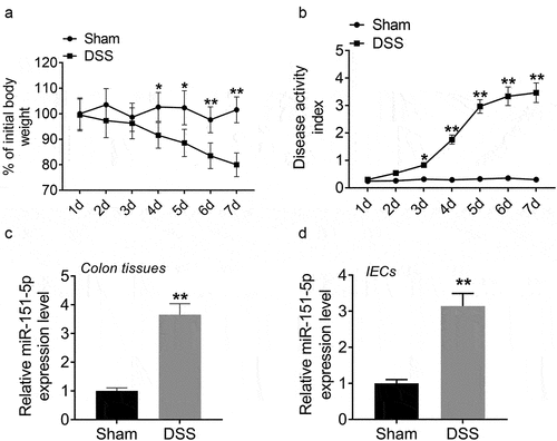 Figure 1. miR-151-5p was upregulated in colon tissues of colitis mice.