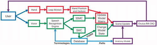 Figure 2. Pipeline of the proposed system. Purple-VSR, Red-GIM, Green-VIM.
