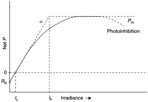 Figure 4. Photosynthesis vs. Irradiance (P-I) curve. Rd: respiration rate; Ic: compensation irradiance; Ik: saturation irradiance; Isat: light saturation point; Pm: light-saturated rate [Citation97].