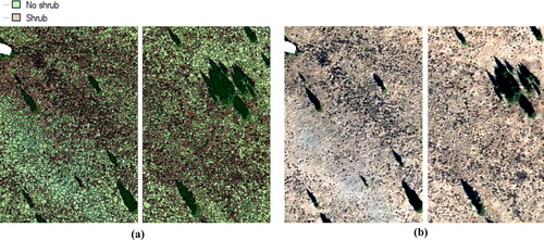 Figure 3. a) Detail of segmentation result in the southeast part of our study area with the derived object segments for the ‘shrub’ and ‘no shrub’ classes, and b) the respective aerial image of this location.