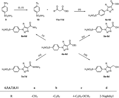 Scheme 1. Synthetic pathway to the sulphonamides 4a–4d, 5a–5d, 6a–6d, 7a–7d, and 8a–8d. Reagents and conditions: (i) HCl, NaNO2, H2O, 0 °C, 15 min; (ii) NaN3, 0 °C, 30 min; (iii) Piperidine, DMSO, 70 °C, 4 h; (iv) NaOH, reflux, 3 h then H3O+; (v) NH3 solution, stir, 22 h; (vi) NH2NH2.H2O, EtOH, reflux, 10–12 h; (vii) LiAlH4, dry THF, reflux, 2 h then H3O+.