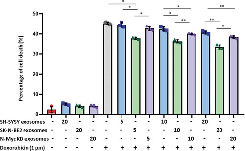 Figure 4. Exosomes derived from SK-N-BE2 cells conferred chemoresistance to SH-SY5Y cells.FACS apoptosis assay was performed on SH-SY5Y cells after treatment with SK-N-BE2, SH-SY5Y and N-Myc KD cell-derived exosomes (5, 10 and 20 μg/mL), doxorubicin (1 µM) and combinational treatment of exosomes and doxorubicin. As shown in the graph, SH-SY-5Y cells obtained resistance to doxorubicin in the presence of SK-N-BE2 cell-derived exosomes (n = 3). Error bars represent the standard error of mean, * denotes p < 0.05, ** as determined by student’s t-test.