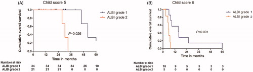 Figure 3. (A): Graph shows the cumulative 1-, 3- and 5-year overall survival rates of patients with a hepatic function of child score 5 after CT-guided PMWA treatment based on the ALBI grade. (B): Graph shows the cumulative 1-, 3- and 5-year overall survival rates of patients with a hepatic function of child score 6 after CT-guided PMWA treatment based on the ALBI grade.