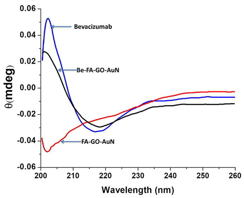 Figure 3. UV-Vis spectra of free bevacizumab, FA-GO-AuN and Be-FA-GO-AuN.