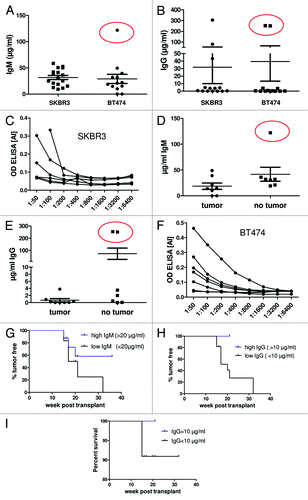Figure 5. HTM are able to generate human IgM and IgG antibodies. Total IgM (A) and IgG (B) concentration in sera of HTM (BT474 and SK-BR-3) were analyzed by ELISA. Tumor antigen-specific antibody generation in HTM was analyzed on tumor-lysate coated ELISA plates and analyzed in SK-BR-3 transplanted HTM (C) and BT474 transplanted HTM (F). Values are given as arbitrary unit [AI] of optical densities (OD). BT474 transplanted HTM were further subdivided into animals with and without tumor development and the corresponding IgM (D) and IgG (E) concentration for each mouse is displayed. The percentage of mice which did not have detectable tumor growth at the end of the experiments in BT474 transplanted HTM was calculated for all mice dependent on the IgM (G; above or below 20 µg/ml) or IgG concentration (H; above or below 10 µg/ml). (I) Kaplan–Meier survival curves are shown for BT474 transplanted HTM.