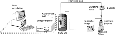 Figure 1. The experimental set-up of calorimetric measurements (flow mode and mode with total recirculation of the reaction mixture) of activity of immobilized biocatalysts.